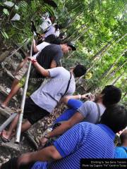 Climbing to  See Some Tarsiers